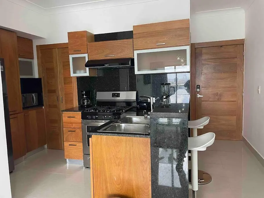 Apartment Brand New Luxury 1 Bdr Pool-Cine - Saune-Wifi - I 19 Santo Domingo